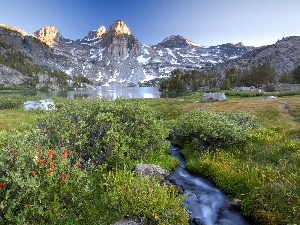 Flowers, green, Mountains, lake