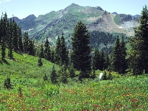 Flowers, viewes, Mountains, trees
