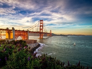 Flowers, Yacht, River, bridge