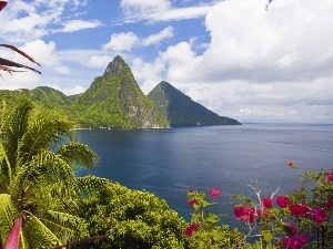 sea, Flowers, Mountains