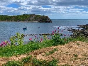 Flowers, smack, boats, sea, Sky, Gulf