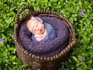 Flowers, basket, the sleeping, girl