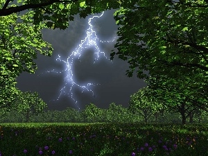 Flowers, viewes, Storm, trees