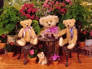 table, Flowers, bear