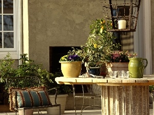 terrace, Flowers, interior