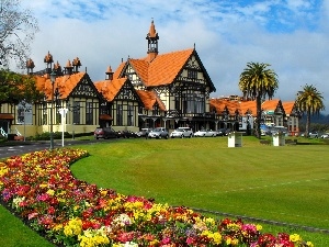 town, Flowers, panorama