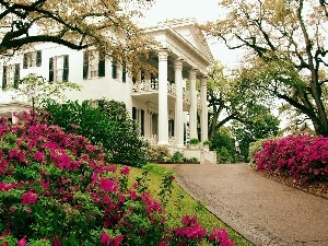 Flowers, driveway, villa, residence