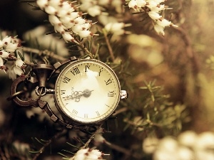 White, Flowers, Clock