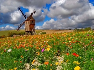 Windmill, Flowers, Meadow