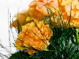 yellow, flowers, bouquet