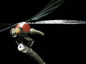 dragon-fly, Clockwork