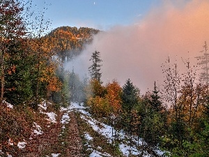 Fog, Way, Mountains, autumn, woods