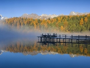 Fog, woods, lake, pier