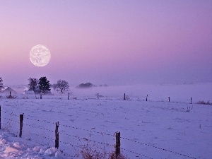 Fog, field, snow, winter, moon, twilight