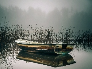 Fog, rushes, lake, morning, Lodz