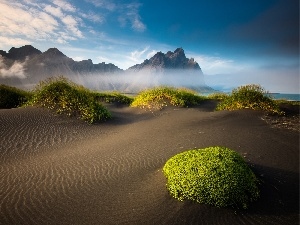 Mountains, Fog, Desert