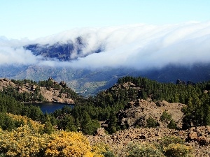 Fog, lake, Mountains, woods