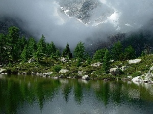 Fog, forest, water, rocks