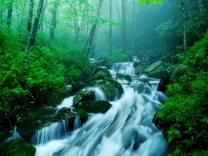 Fog, Stones, waterfall, forest
