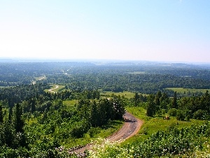 Fog, medows, Way, woods