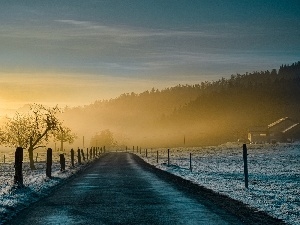 Fog, woods, Way, fence