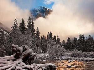 Fog, trees, viewes, Mountains, winter, River