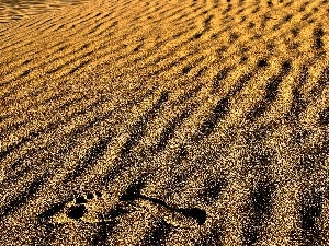 Sand, foot, Desert