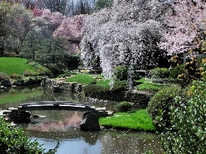 brook, footbridge, Garden