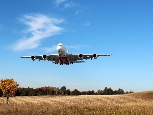 forest, Meadow, plane, Airbus A380