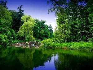 bridges, forest, River