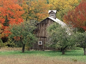 chapel, forest, Wooden