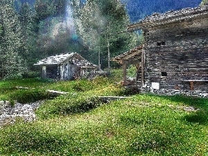 forest, stream, huts, Windmill