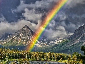 forest, Mountains, Great Rainbows, lake, clouds