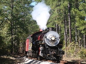 forest, locomotive