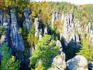 Mountains, forest, Rocky