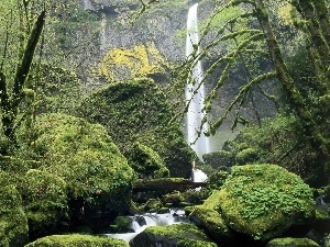 mountains, forest, waterfall