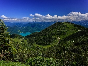 forest, lake, Bavarian Alps, panorama, Germany