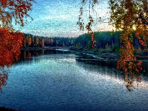 River, forest, autumn