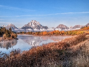 River, forest, Mountains