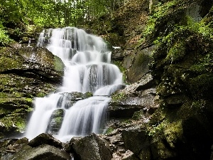 rocks, forest, waterfall