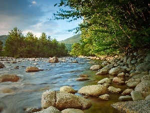 Stones, forest, lake