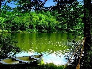 forest, bath-tub, River