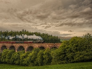 viewes, forest, Sky, bridge, trees, Train, Clouds