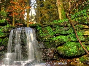 forest, waterfall