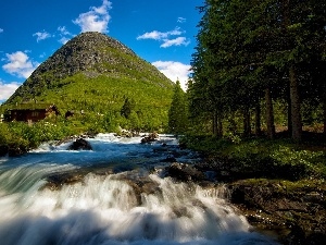 forest, Houses, River, mountains, waterfall, Apple