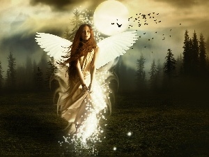 forest, moon, Women, wings