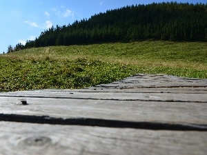 forest, boarding, Zakopane, Meadow