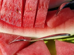 cuts, Forks, watermelon