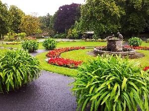 fountain