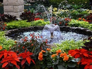 Flowers, fountain, Garden